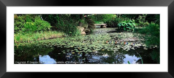 Peaceful Reflections Panorama Framed Mounted Print by Deanne Flouton