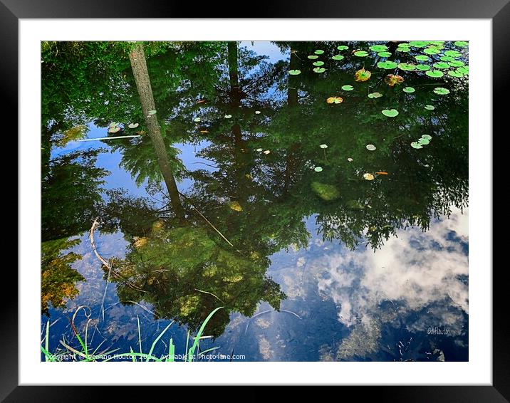 Serene Reflections Framed Mounted Print by Deanne Flouton