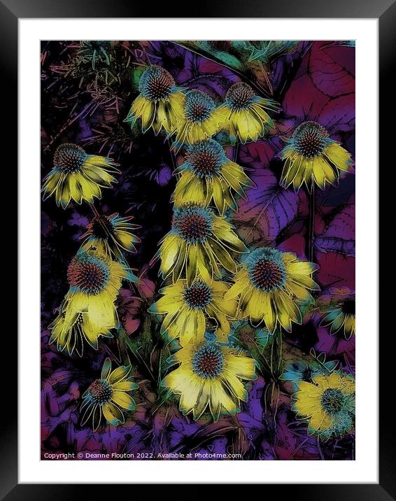 Surreal Yellow Coneflowers Framed Mounted Print by Deanne Flouton