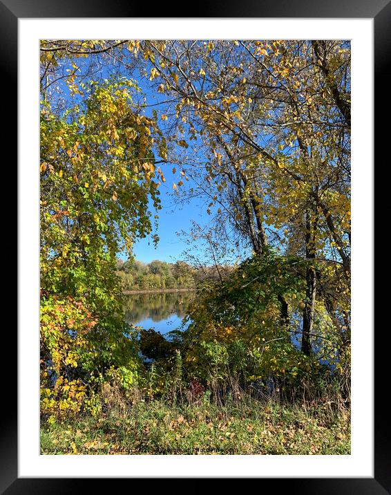 Serenity in Autumn Framed Mounted Print by Deanne Flouton