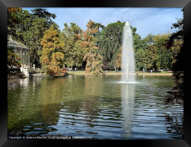 Tranquil Oasis in Madrid Framed Print by Deanne Flouton