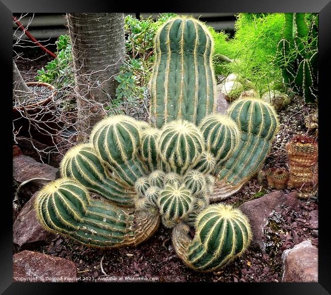 Rugged Beauty in a Cactus Clan Framed Print by Deanne Flouton