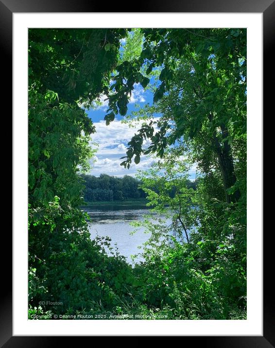 Serene Majesty Framed Mounted Print by Deanne Flouton