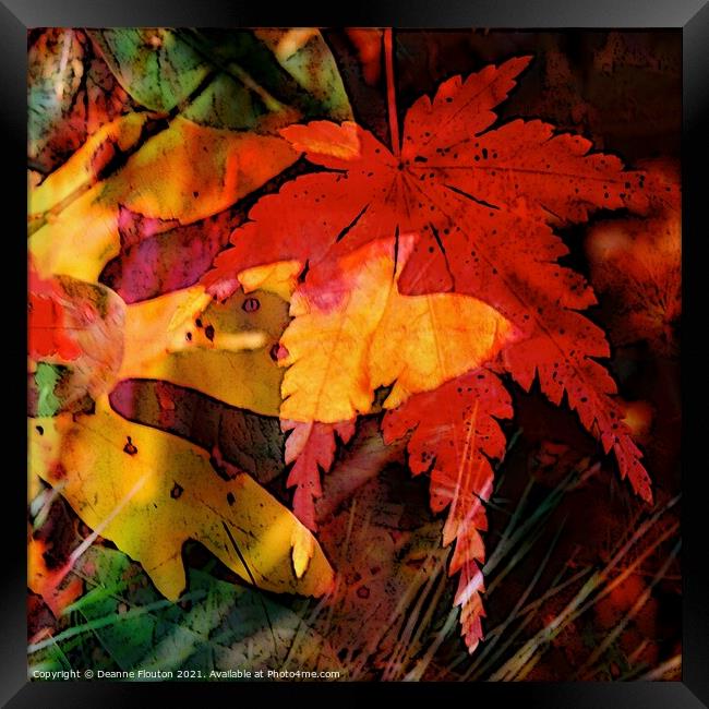 Autumns Fiery Canvas Framed Print by Deanne Flouton