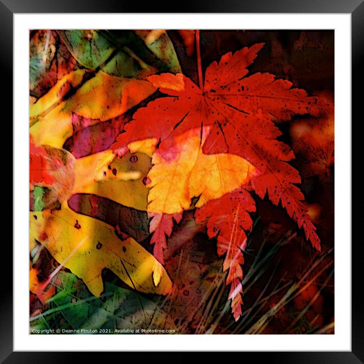 Autumns Fiery Canvas Framed Mounted Print by Deanne Flouton