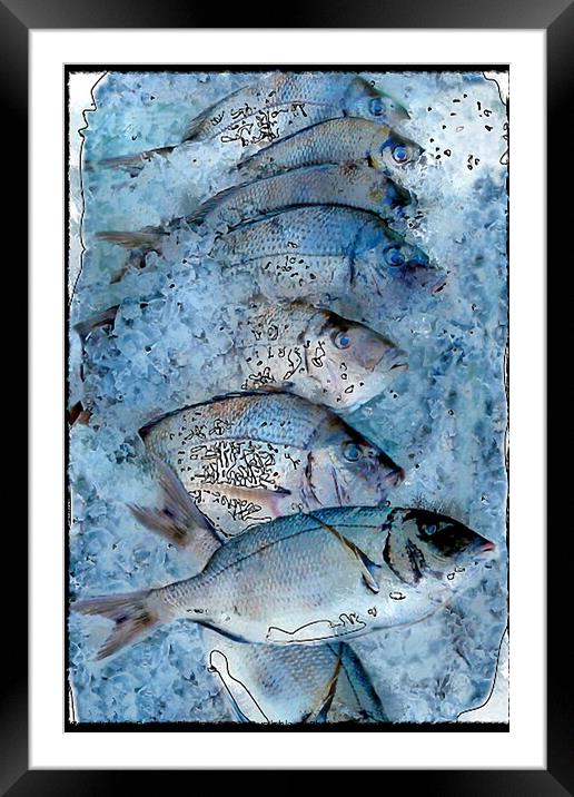 Fresh Catch on Ice Framed Mounted Print by Deanne Flouton