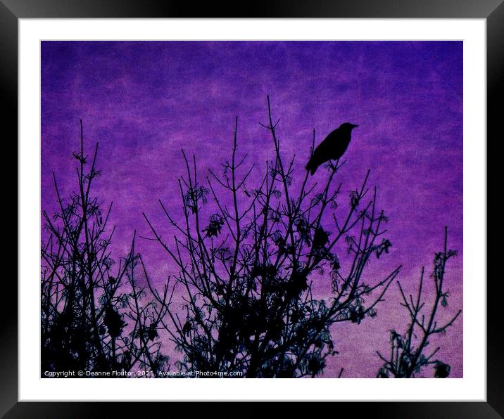  Raven Surveying Purple Sky Framed Mounted Print by Deanne Flouton