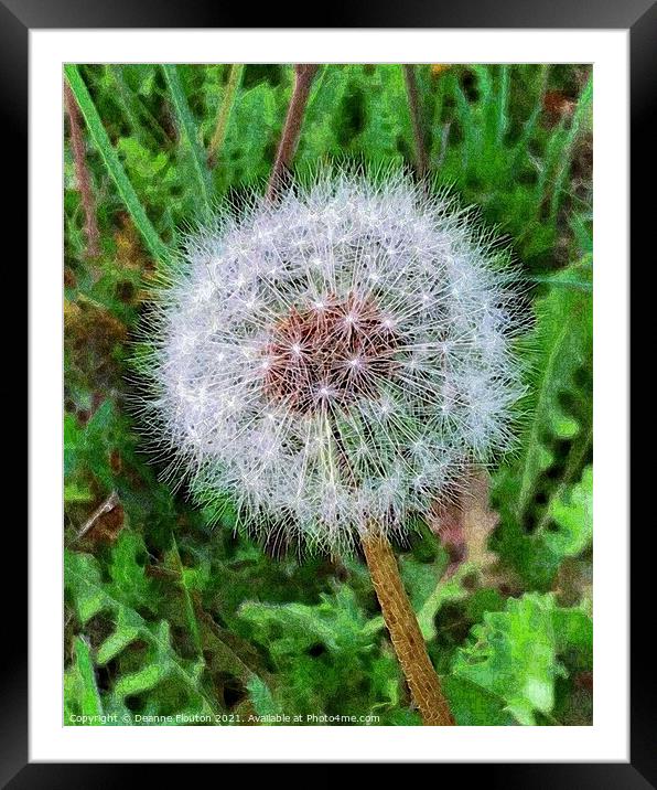 Ethereal Dandelion Framed Mounted Print by Deanne Flouton