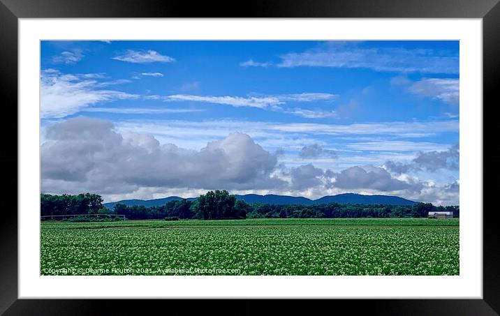 Majestic Mountains Range and Blooming Potato Field Framed Mounted Print by Deanne Flouton