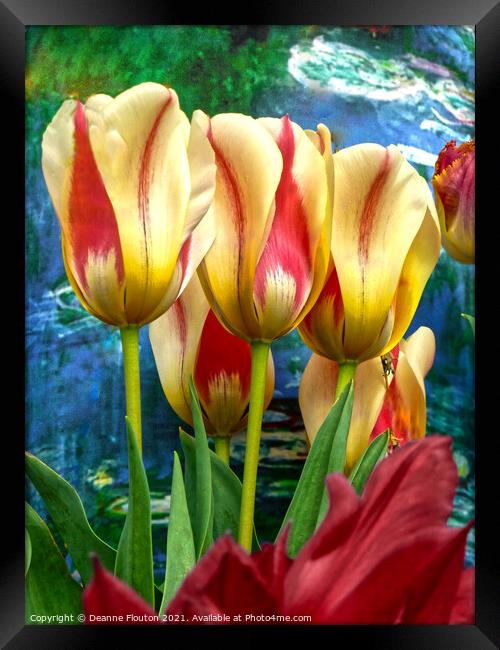 Radiant Tulip Symphony Framed Print by Deanne Flouton