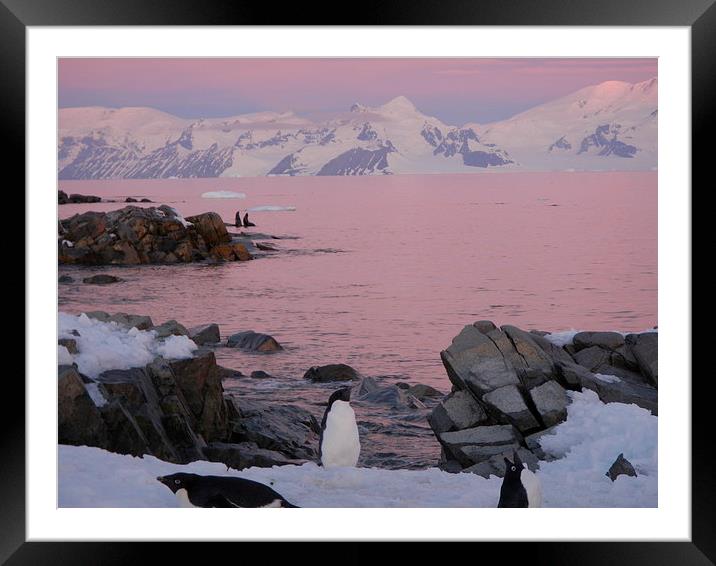 Dusk on the Antarctic Peninsula. Framed Mounted Print by Richard Simpson