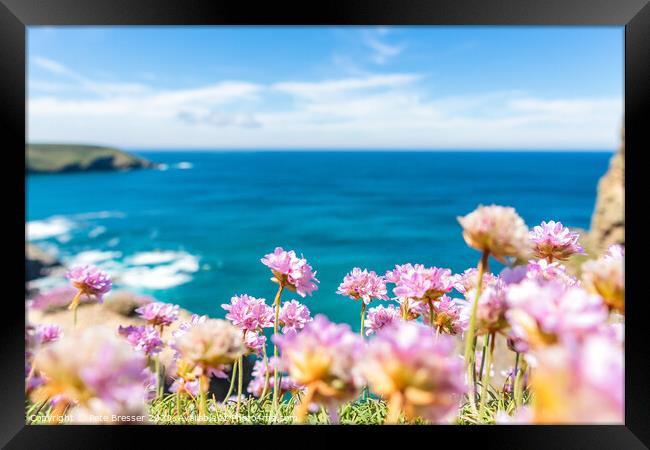 Sea Pinks look out to sea Framed Print by Pete Bresser