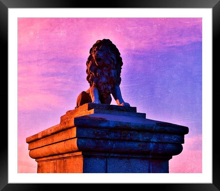 egypt lion cowes Framed Mounted Print by Rhona Ward
