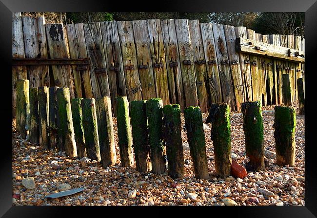 old beach fence at gurnard Framed Print by Rhona Ward