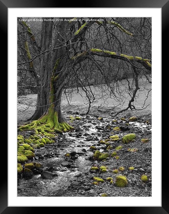 Tree by Stream Framed Mounted Print by Andy Huntley