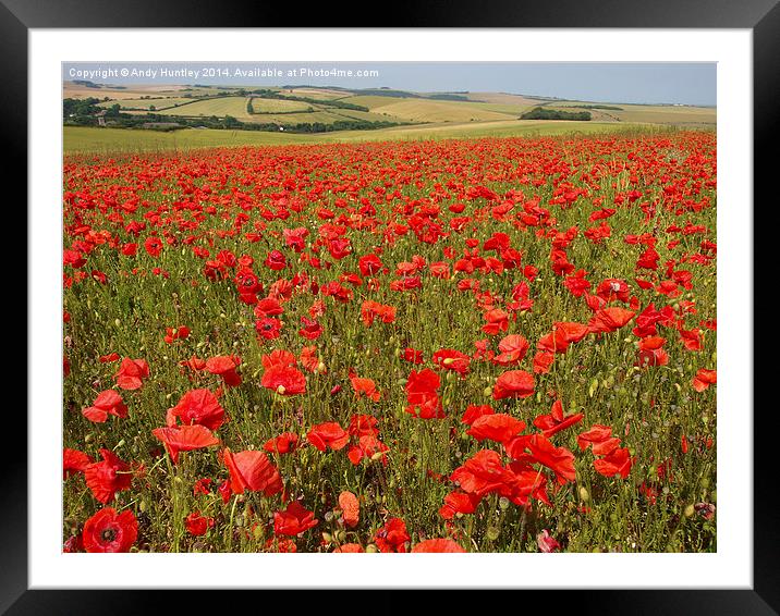 Field of Poppies Framed Mounted Print by Andy Huntley
