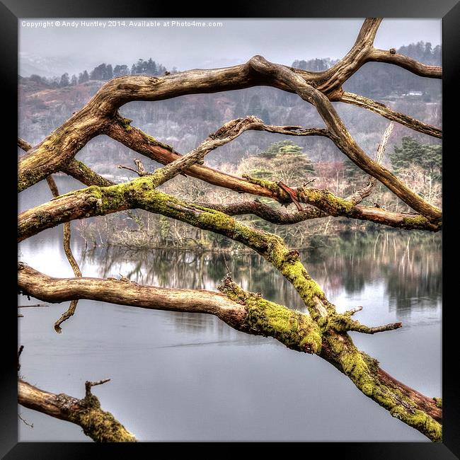 Branches over Lake Framed Print by Andy Huntley