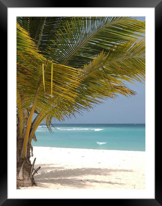 Barbados Beach View Framed Mounted Print by Andy Huntley