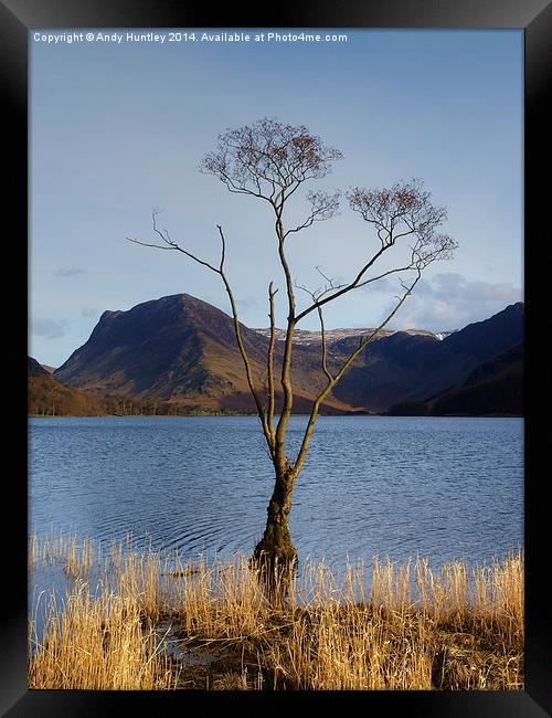 Tree in Lake Framed Print by Andy Huntley