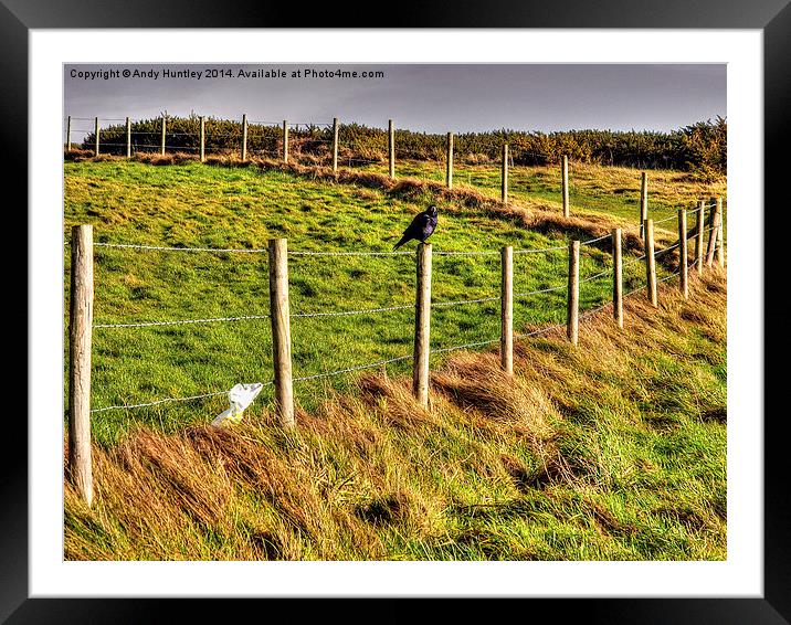Bird on a Wire(Fence) Framed Mounted Print by Andy Huntley