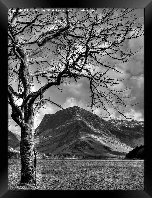 Tree by Lake Framed Print by Andy Huntley