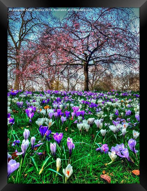 Springtime in the Park Framed Print by Andy Huntley
