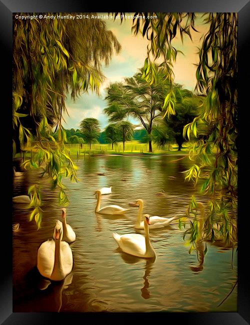  Swan Lake Framed Print by Andy Huntley