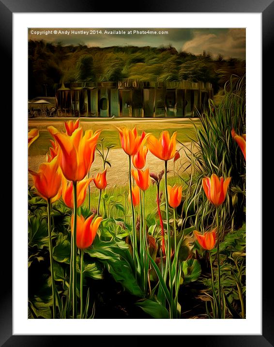  Tulips in the Park Framed Mounted Print by Andy Huntley