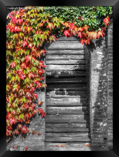 Stone stairs with foliage surround Framed Print by Andy Huntley