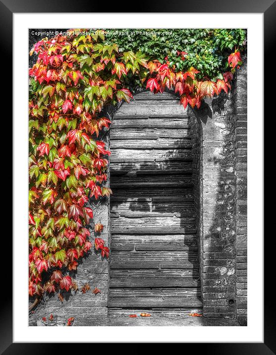 Stone stairs with foliage surround Framed Mounted Print by Andy Huntley