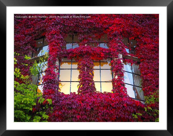 Ivy Window Framed Mounted Print by Andy Huntley
