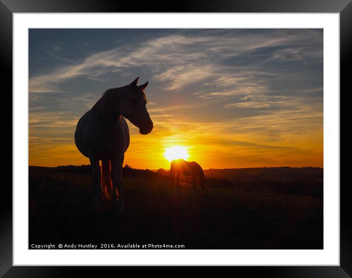 Horse silhouetted in sunset Framed Mounted Print by Andy Huntley