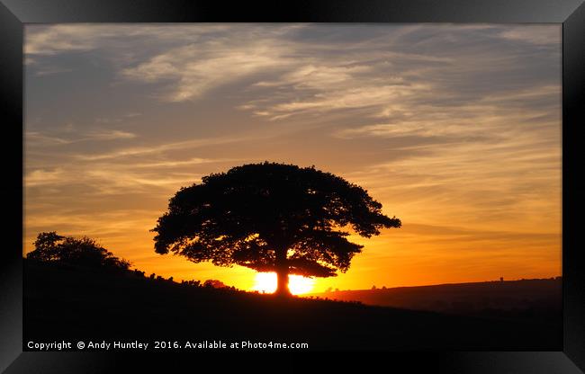 Oak Tree in Sunset Framed Print by Andy Huntley