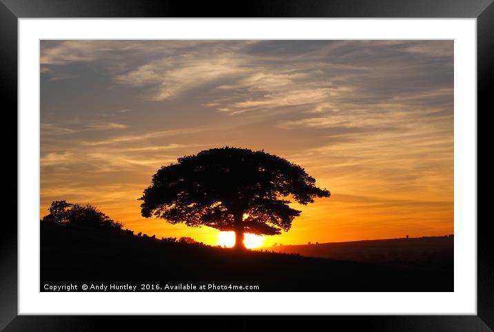Oak Tree in Sunset Framed Mounted Print by Andy Huntley