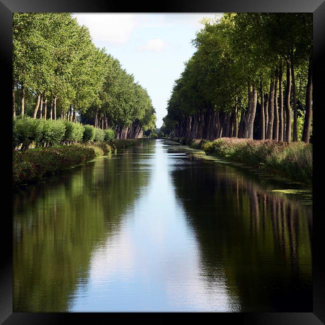 Damme Canal Relection Framed Print by Carolyn Eaton