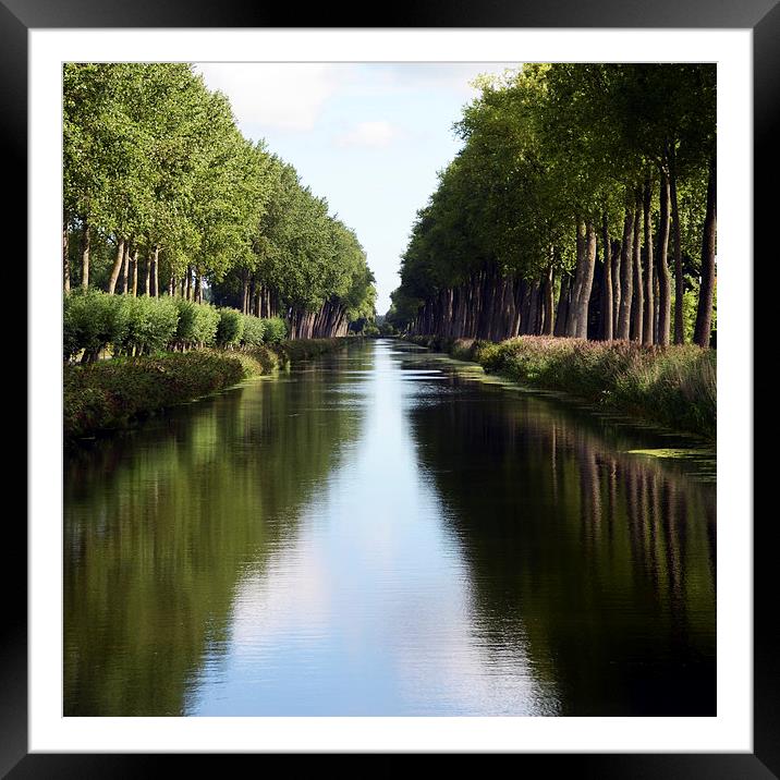 Damme Canal Relection Framed Mounted Print by Carolyn Eaton