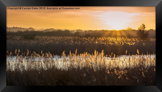  Somerset Levels Sunset Framed Print by Carolyn Eaton