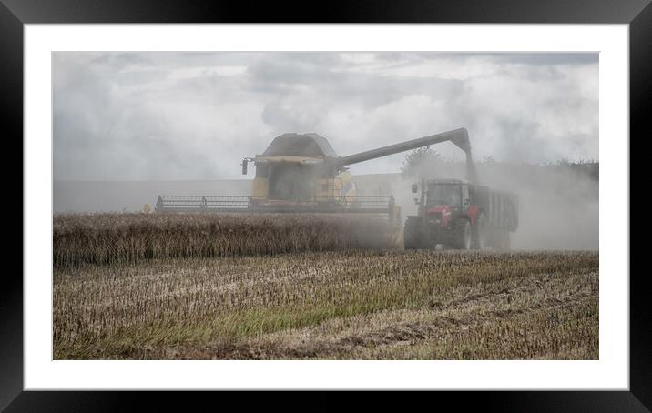 Harvesting Framed Mounted Print by Alan Tunnicliffe