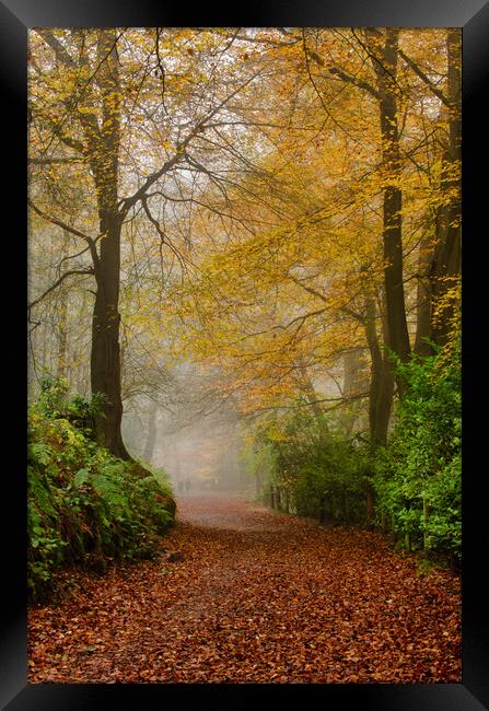 Enchanting Autumn Pathway Framed Print by Alan Tunnicliffe