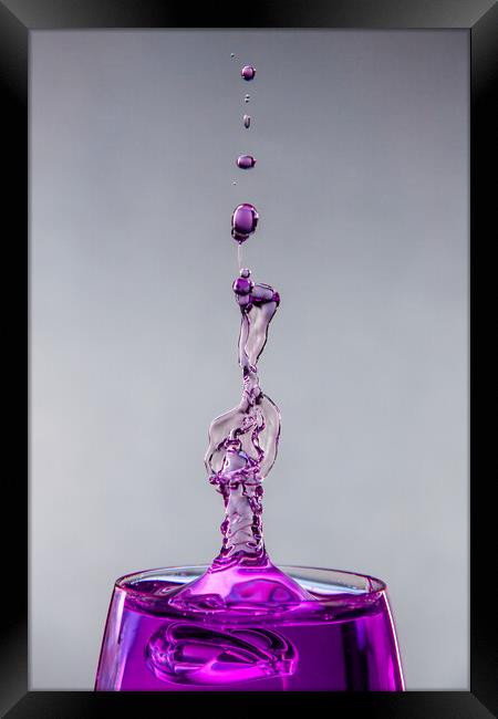 Purple Symphony Framed Print by Alan Tunnicliffe