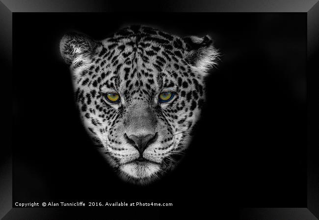 Jaguar Portrait Framed Print by Alan Tunnicliffe