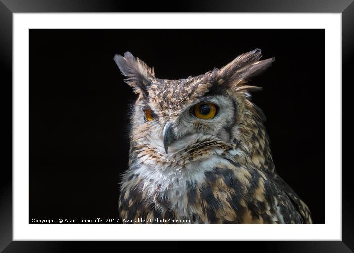 MacKinders eagle owl Framed Mounted Print by Alan Tunnicliffe