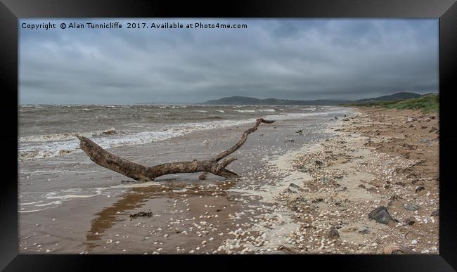 Driftwood on a deserted beach Framed Print by Alan Tunnicliffe