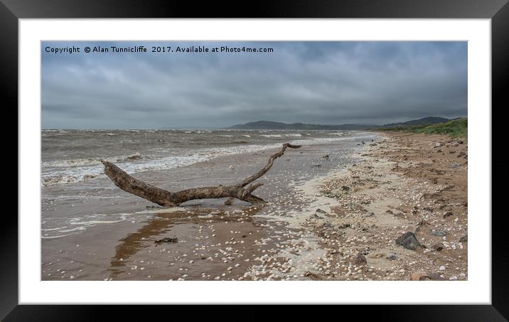 Driftwood on a deserted beach Framed Mounted Print by Alan Tunnicliffe