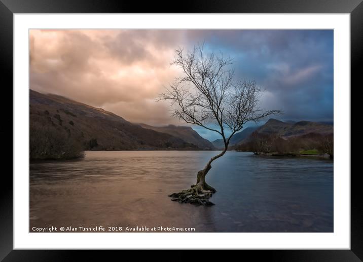 The lone tree Framed Mounted Print by Alan Tunnicliffe