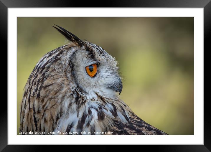 Eurasian eagle owl Framed Mounted Print by Alan Tunnicliffe