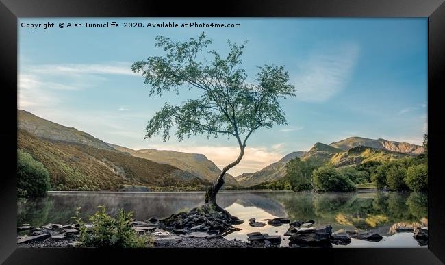 The lone tree Framed Print by Alan Tunnicliffe
