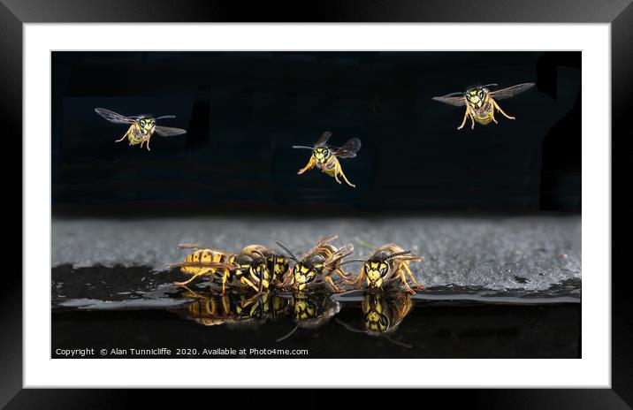 Coming in to land Framed Mounted Print by Alan Tunnicliffe