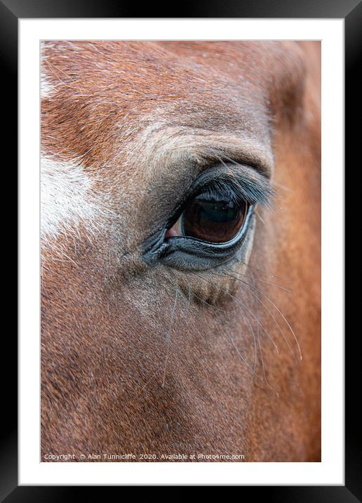 Very close up of the eye of a horse Framed Mounted Print by Alan Tunnicliffe