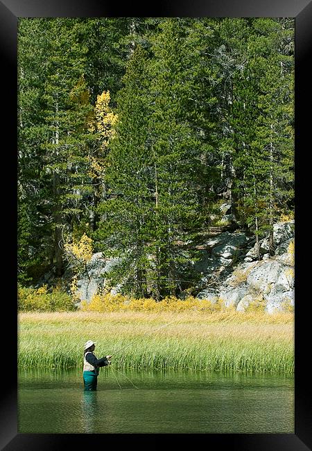 Fisherwoman - Eastern Sierra Califonia Framed Print by Ram Vasudev